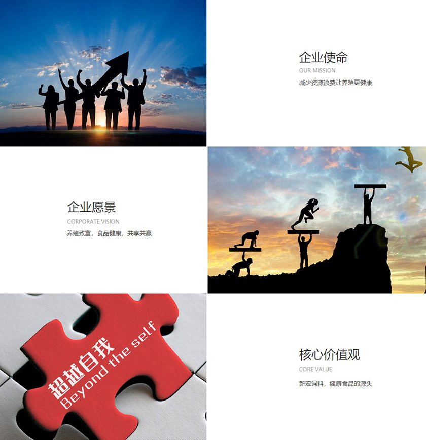 健身器材使用常见问题解答与使用技巧