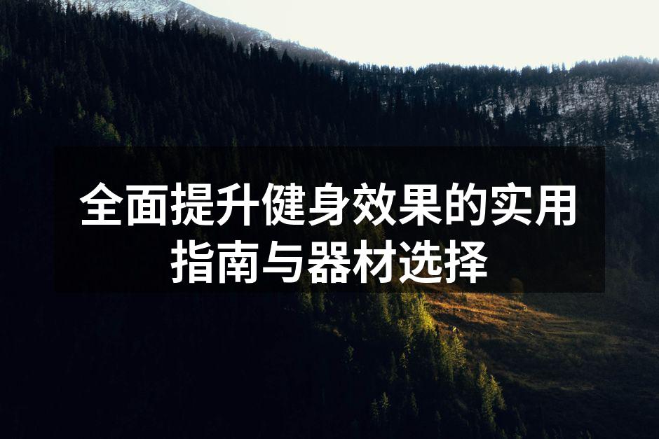 全面提升健身效果的实用指南与器材选择