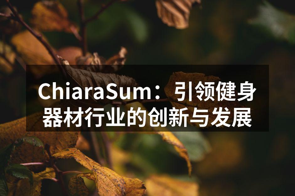 ChiaraSum：引领健身器材行业的创新与发展