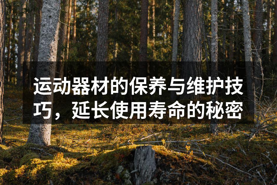 运动器材的保养与维护技巧，延长使用寿命的秘密
