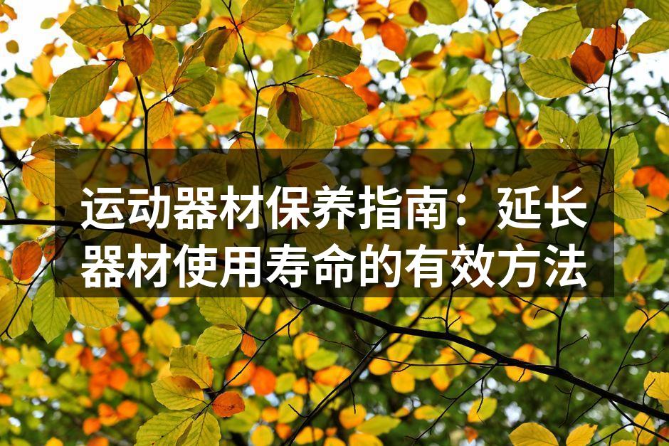 运动器材保养指南：延长器材使用寿命的有效方法